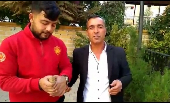 Yavru serçeyi demir korkuluktan itfaiye kurtardı