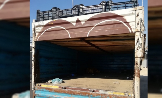 Şanlıurfa'da kasaların altında göçmen kaçakçılığı