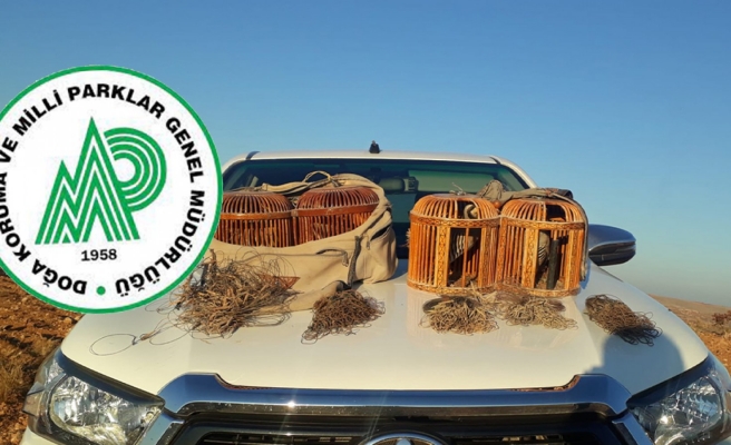 Urfa’da 4 keklik ele geçirildi