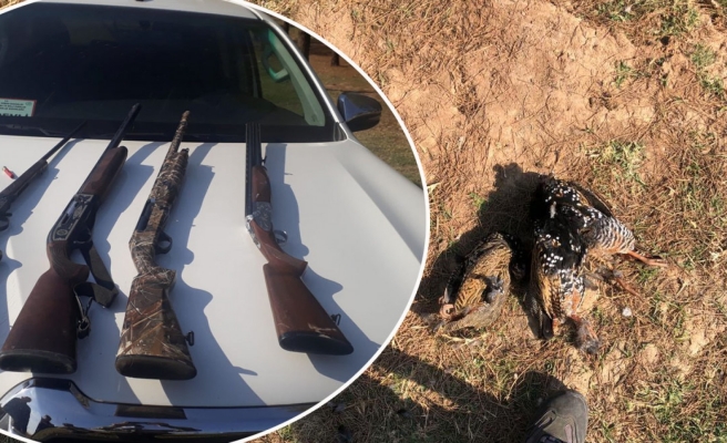 Şanlıurfa'da kaçak avcılar suçüstü yakalandı