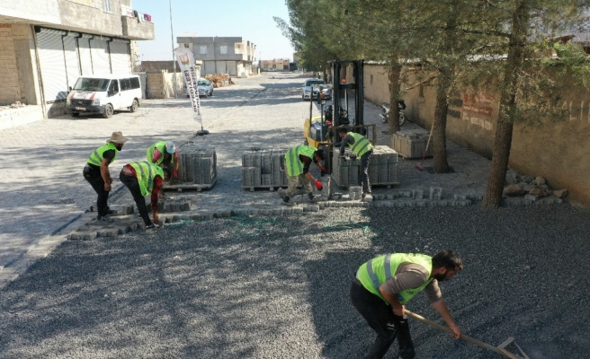 Viranşehir’de bu mahallede refüj çalışmaları tamamlandı