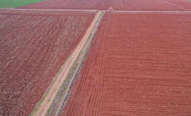 Kuraklık riski var! Urfa çiftçisi yağış için dua ediyor...