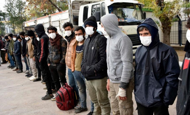 Kamyon kasasında yakalandılar