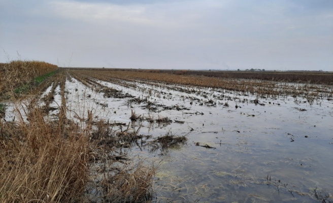 Harita mühendisi Suruç'taki taban suyuna dikkat çekti