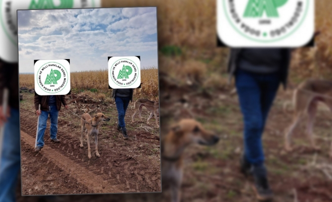 Siverek’te suçüstü yakalandılar!