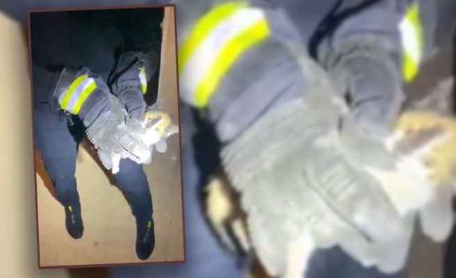 Karaköprü'de yavru kediyi itfaiye kurtardı