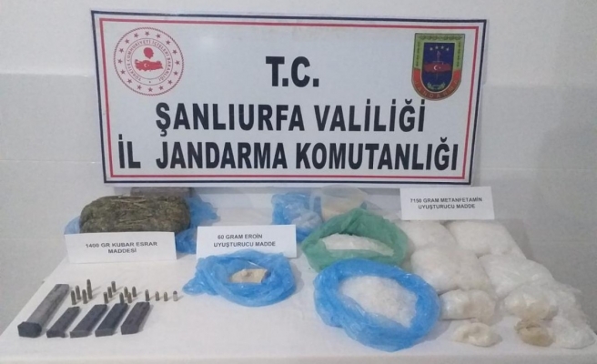 Suruç'ta dev operasyon