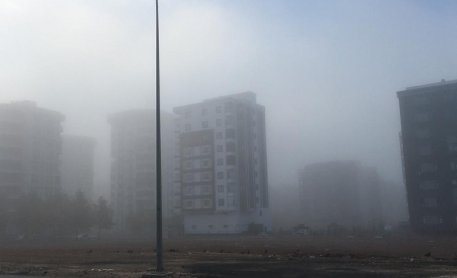 Şanlıurfa'da sabah saatlerinde sis etkili oldu