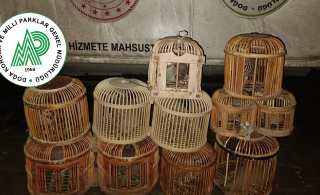 Urfa'da ele geçirildi! Tam 11 adet!