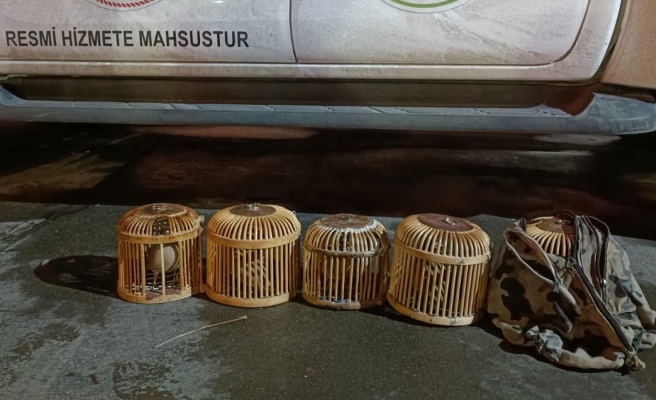 Şanlıurfa'da jandarma bu kez kaçak avcıları yakaladı!