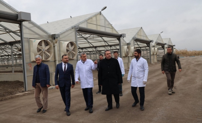 Türkiye’de bir ilk! Urfa’da atık su, gübre ve enerjiye dönüşüyor