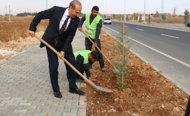 Akçakale'de yeşillendirme seferberliği