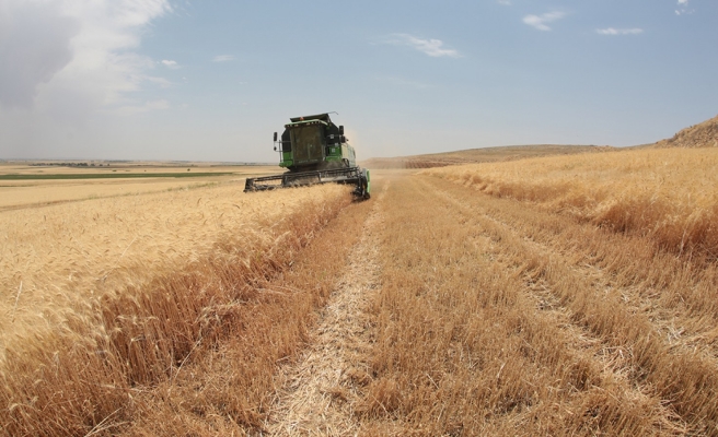 Tarımsal girdi fiyat endeksi arttı!