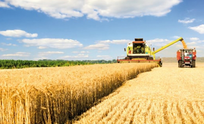 Tahıllar ve diğer bitkisel ürünler 2021'de azaldı