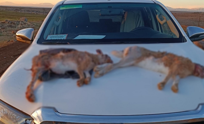 Kaçak avlanan şahıslara idari işlem!