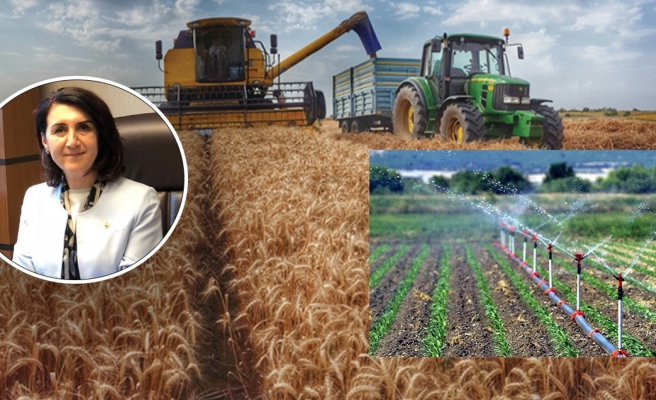 Açanal’ın devreye girmesiyle ovaya su bırakıldı