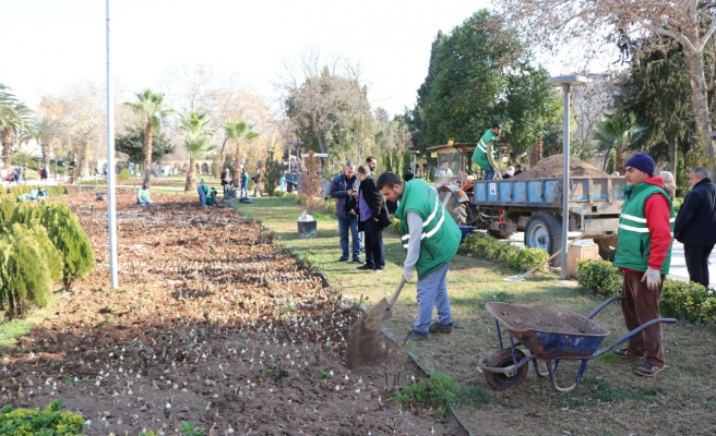 Balıklıgöl’de lale soğanları toprakla buluştu