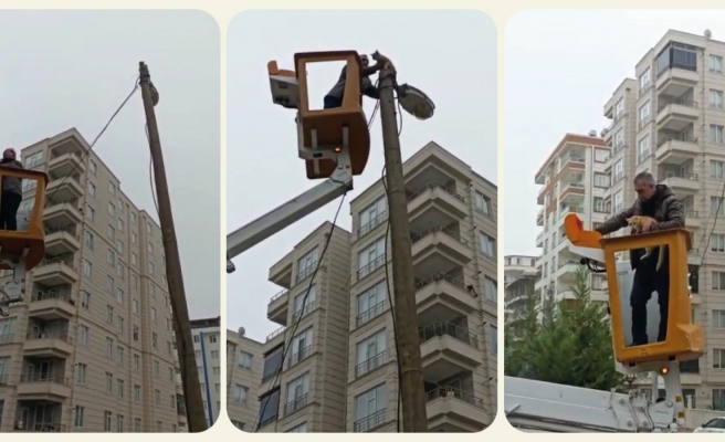 Köpek korkusundan tırmandığı direkte mahsur kaldı