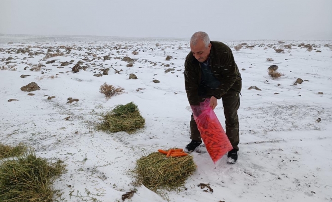 Soğuk havalarda hayvanlar unutulmadı