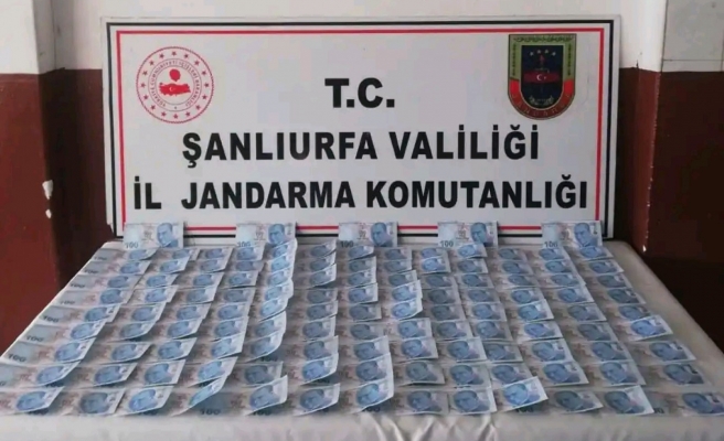 Şanlıurfa’da sahte para operasyonu: 2 gözaltı