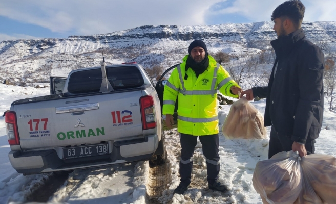 Siverek’te yaşlı ve hastaların yardımına belediye koştu