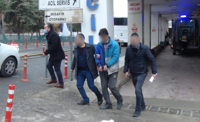 İş yeri fareleri yakalandı