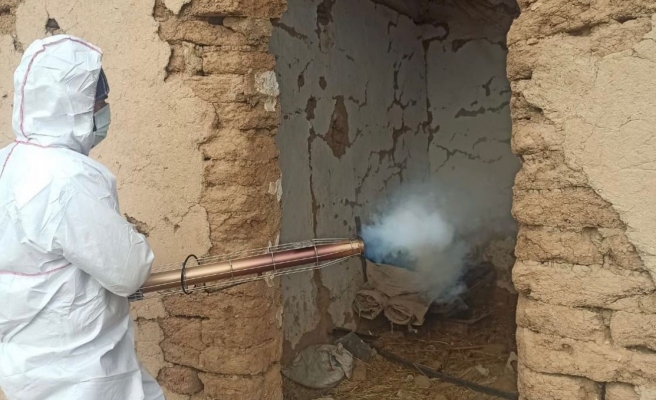 Urfa sınırında ‘şark çıbanı’ çalışması