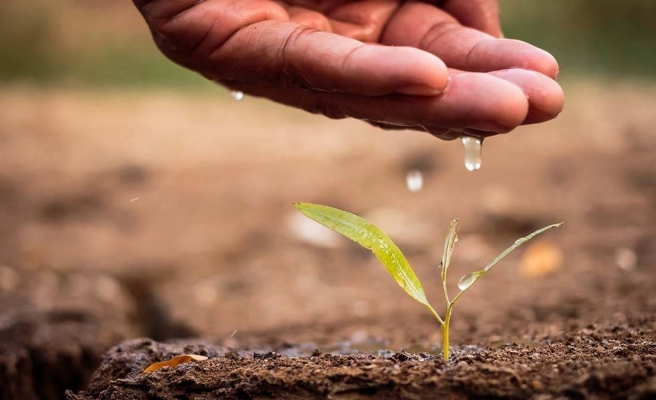Tarımsal kuraklıkla mücadelede yeni yönetim oluşturuldu