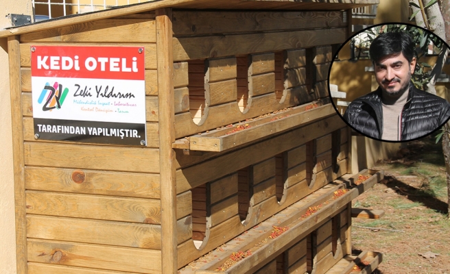 Sokak hayvanları için kedi oteli