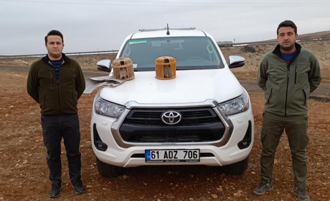 Şanlıurfa’da av koruma ve kontrol denetimi!