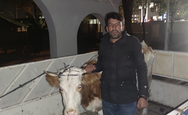 Besicinin emeğini JASAT kurtardı