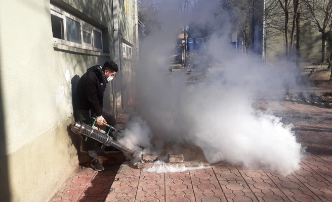 Siverek’te vektörle mücadele sürüyor