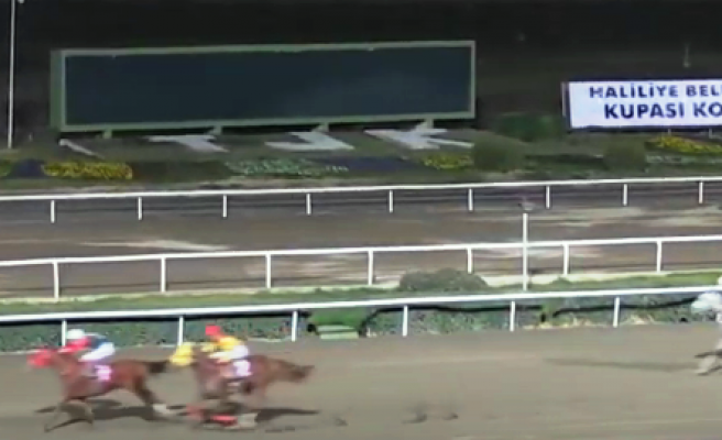 Haliliye Belediye Başkanlığı Koşusu’nu Dehibe Hanım kazandı