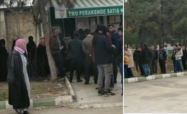 Urfa'da yıllar sonra ucuz yağ kuyruğu...