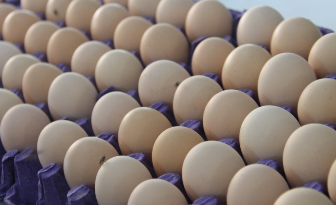 Yumurta fiyatları için müfettiş görevlendirildi