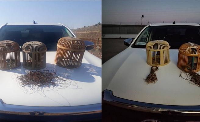 Kaçak avlananlara para cezası kesildi