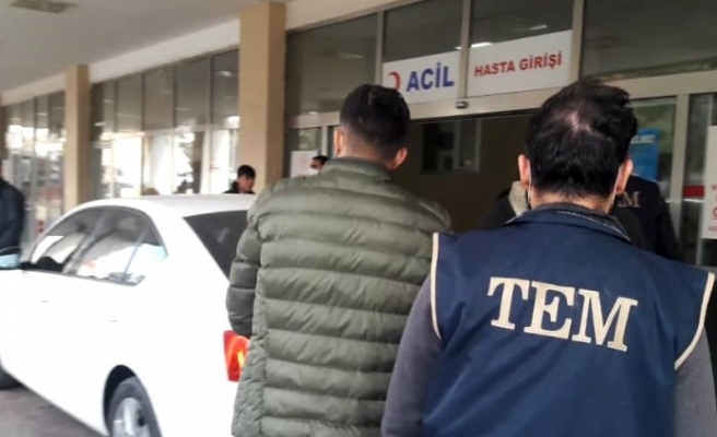 Şanlıurfa’da dev terör operasyonu!