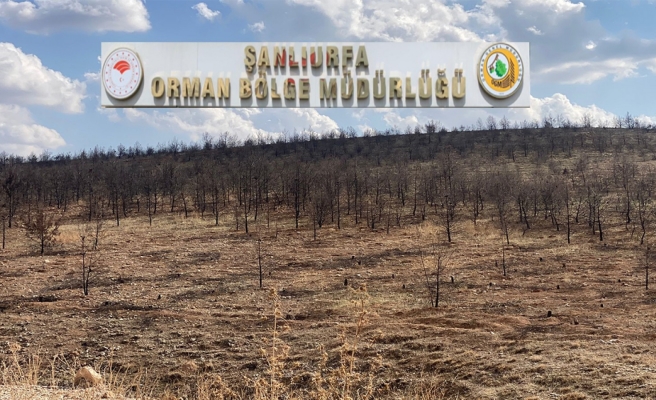 Şanlıurfa Orman Bölge Müdürlüğü'nden o haberle ilgili açıklama