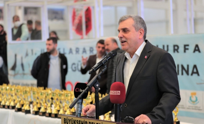 Farklı ülkelerden getirilen güvercinler Urfa’da yarıştı