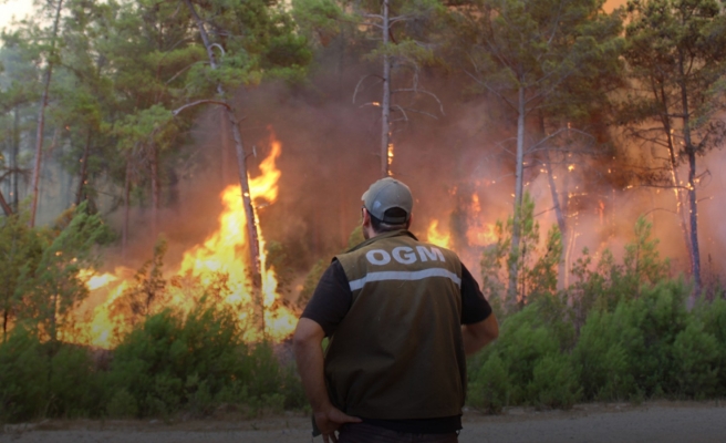 OGM 5 bin işçi alımı yapacak!
