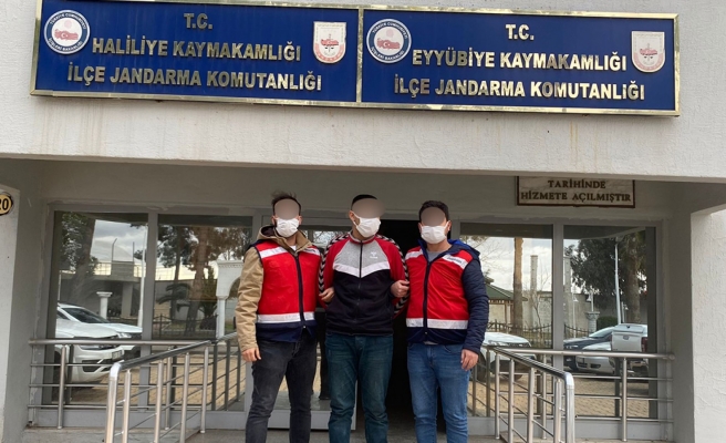 Urfa’da suç makinesi sonunda yakalandı!