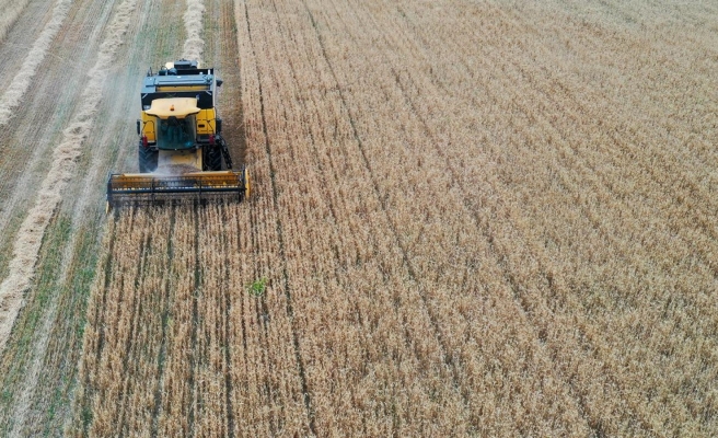 Ekilmeyen araziye hibe müjdesi