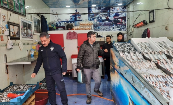 Viranşehir’de balık tezgahları denetlendi