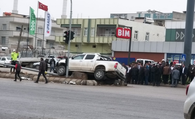 İnek kazaya neden oldu! 4 yaralı