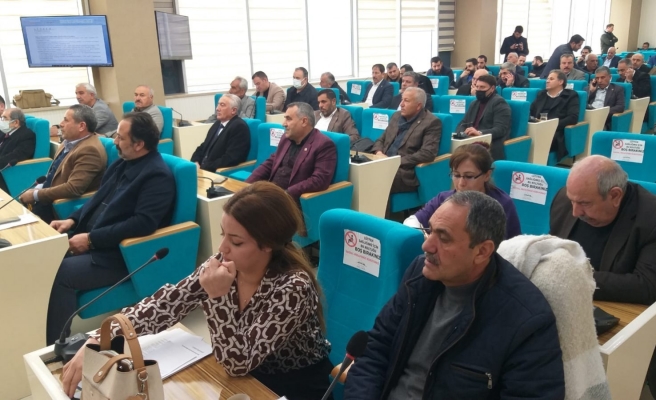 Birecik’teki köprü meclis gündeminde