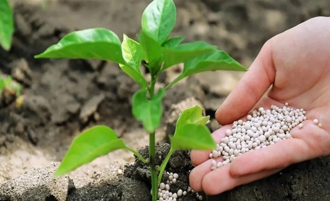 Gübreye bir zam daha