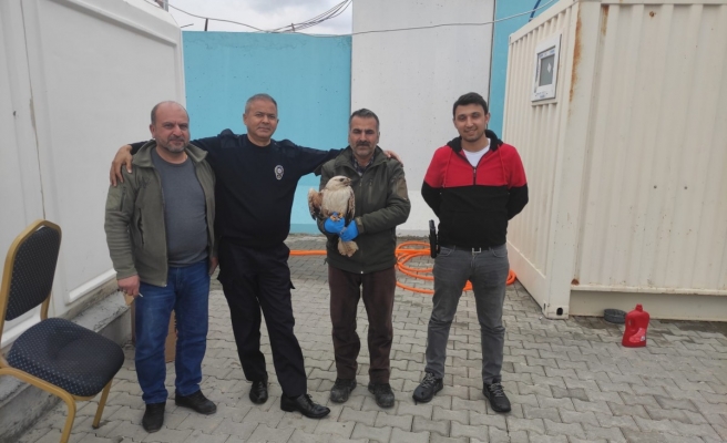 Polislerin bulduğu yaralı kartal tedavi altına alındı
