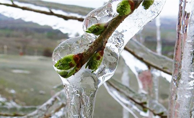 Urfalı çiftçiler dikkat! Önemli uyarı geldi