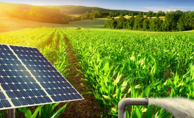 Urfa istiyordu, Mardin'de açıldı