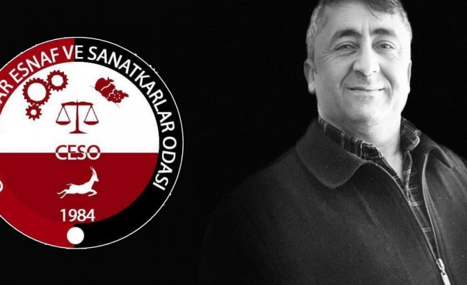 Ceylanpınar'da başkanlık seçimini kazanan isim belli oldu